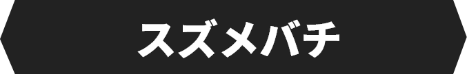 スズメバチ