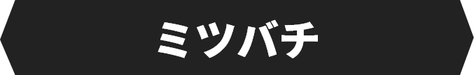 ミツバチ