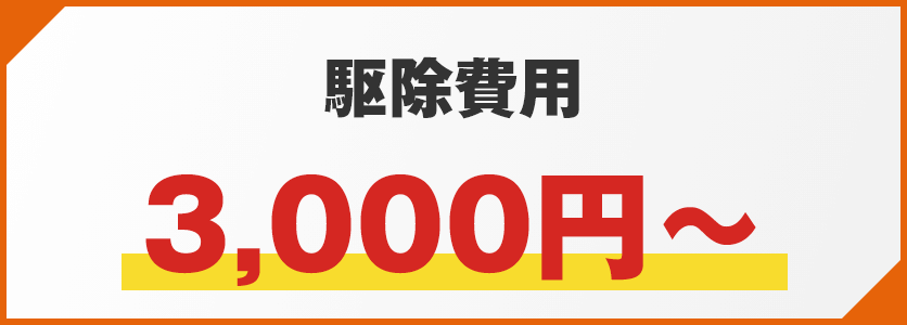 駆除費用3,000円～